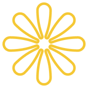 关于我们 - 开云官网